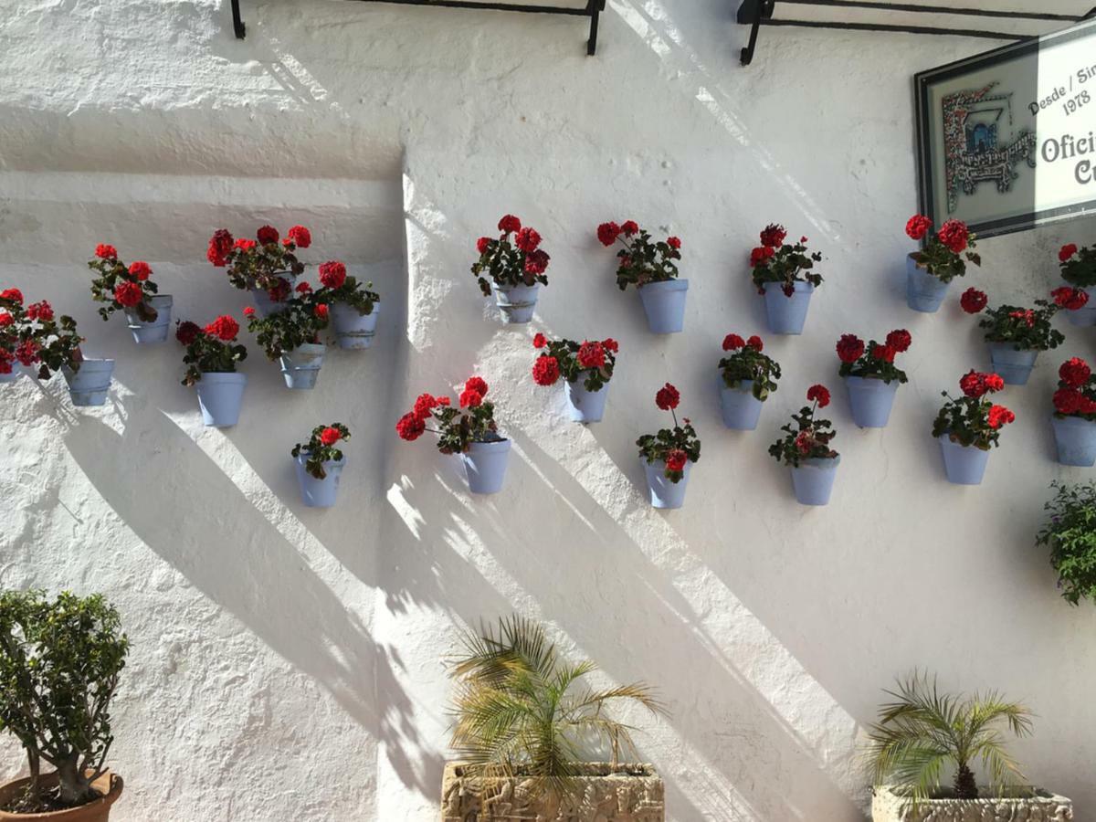 Mediterranean Dream I - La Carihuela Torremolinos Eksteriør bilde